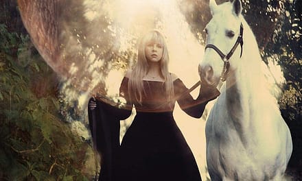 10 Years Ago: Stevie Nicks Embraces Fantasy on ‘In Your Dreams’