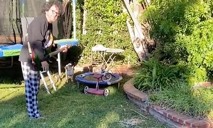 Watch Steve Lukather Battle Leaf Blowers With His Electric Guitar
