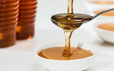 Honey-Based Mead Health Benefits and Antibiotic Resistance