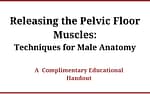 Releasing the Pelvic Floor Muscles: Techniques for Male Anatomy