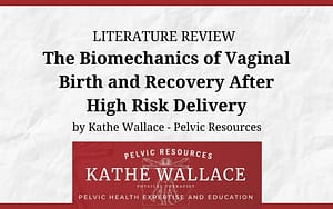 Literature Review: The Biomechanics of Vaginal Birth and Recovery After High Risk Delivery