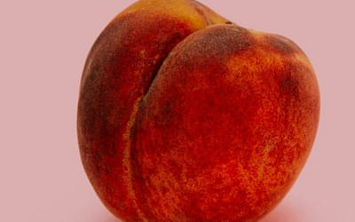 Facts, Myths, and Best Practices About Receptive Anal Activity
