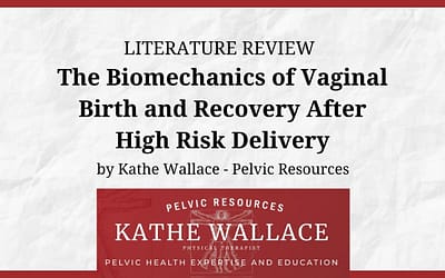 Literature Review: The Biomechanics of Vaginal Birth and Recovery After High Risk Delivery